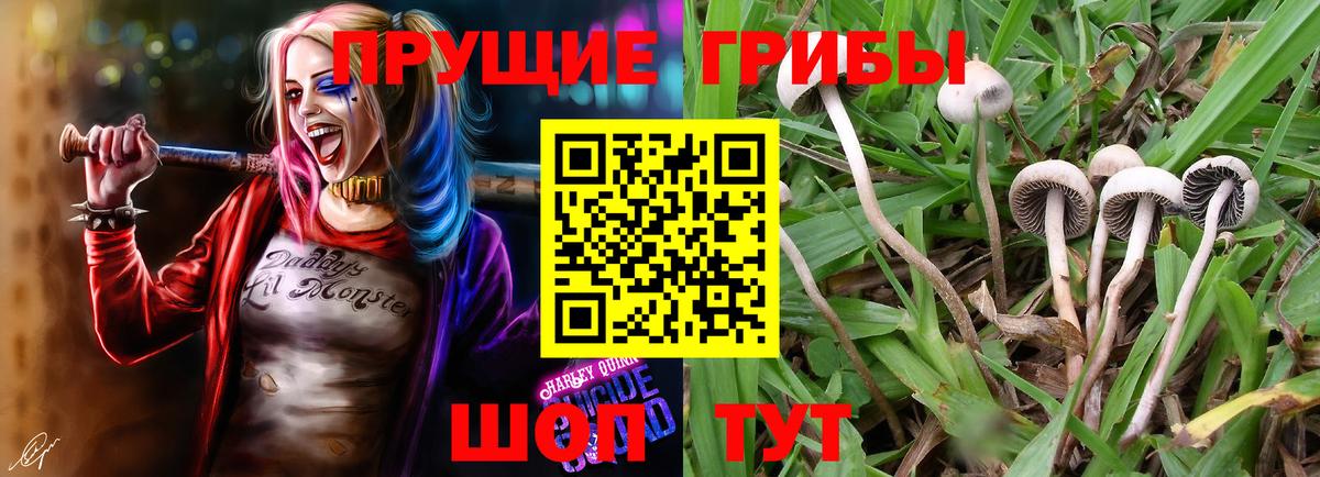 Кохма  Псилоцибиновые грибы мицелий  Галлюциногенные грибы Magic Shrooms  Вход с VPN 