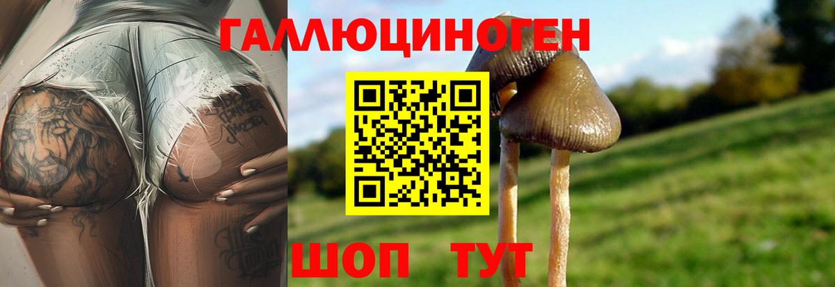 Галлюциногенные грибы мухоморы Кохма